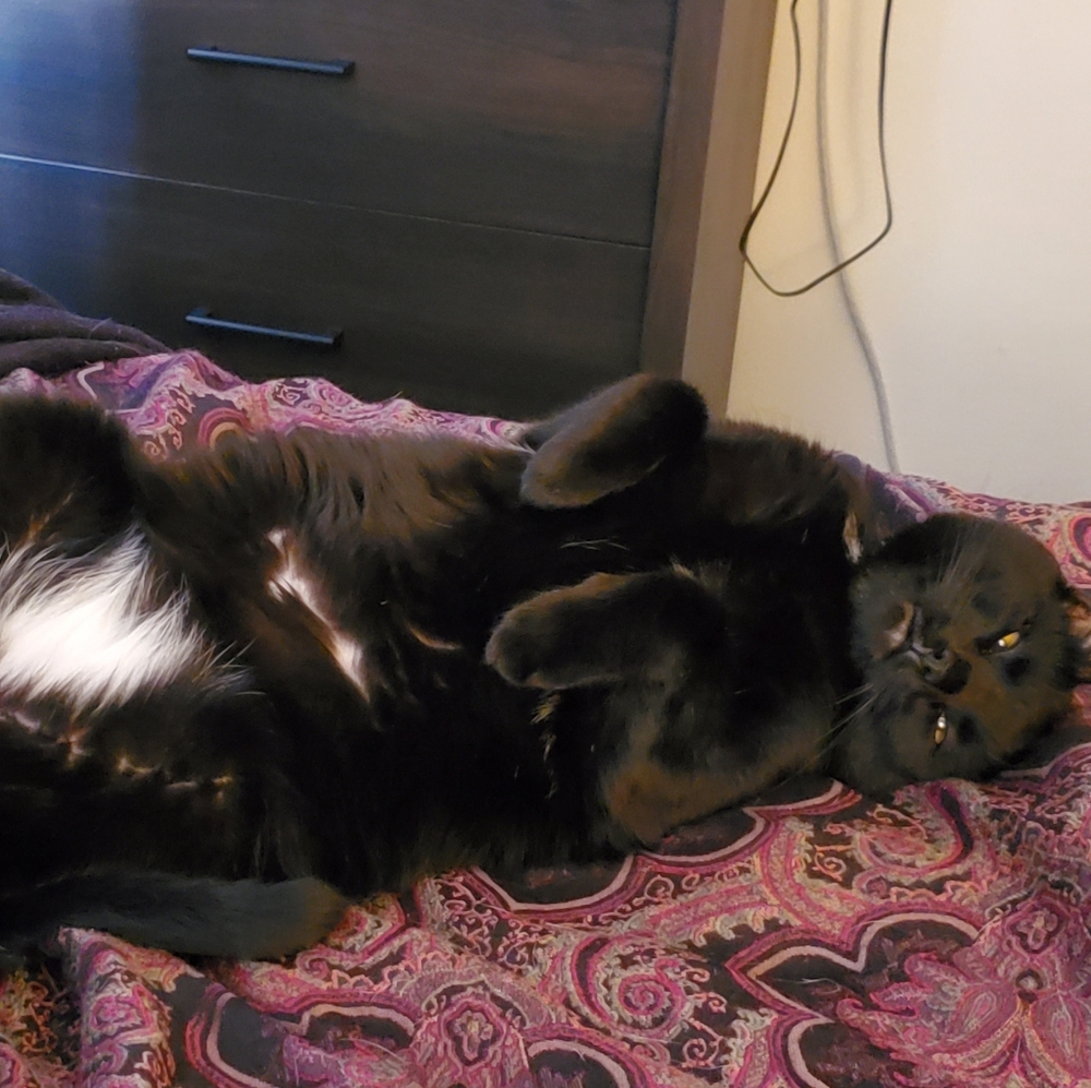 Meet your Posher, Katherine